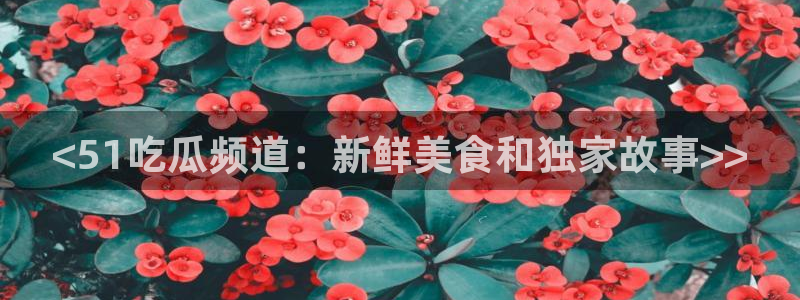 网站吃瓜
