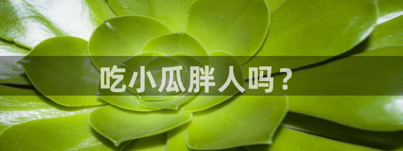 51吃瓜今日吃瓜入口