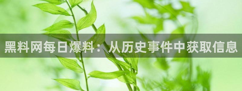 51今日吃瓜热门大瓜入口：黑料网每日爆料：从历史事件中获取信息