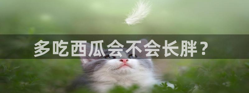 cg吃瓜群众最新版网址：多吃西瓜会不会长胖？