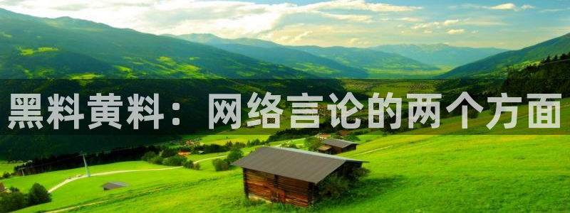 吃瓜吃到自己的死讯：黑料黄料：网络言论的两个方面