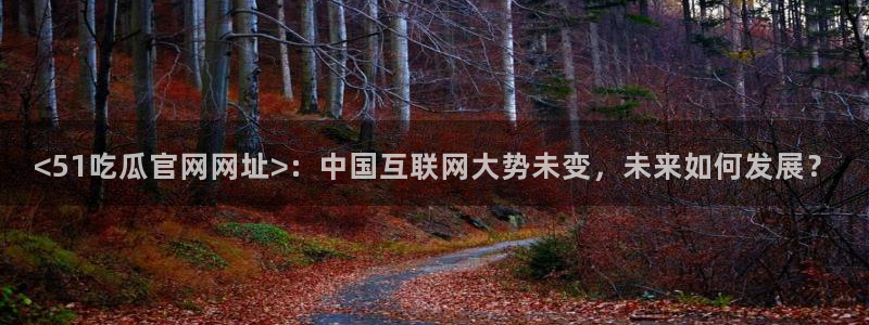 吃瓜www：<51吃瓜官网网址>：中国互联网大势未变，未来如何发展？