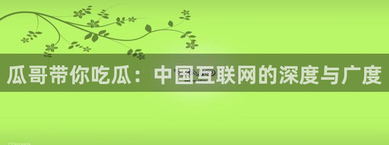 黑料免费：瓜哥带你吃瓜：中国互联网的深度与广度