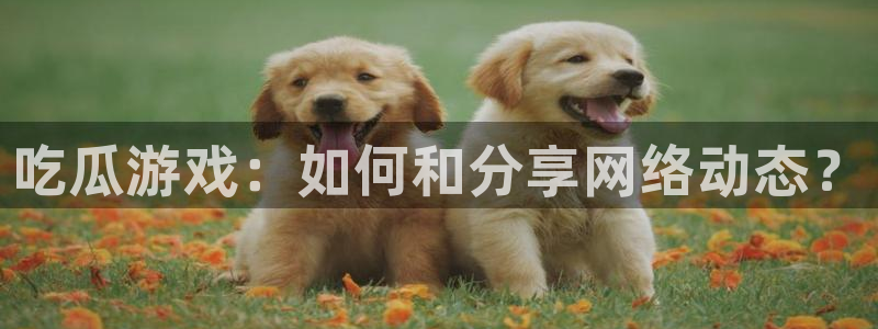 51吃瓜张津瑜