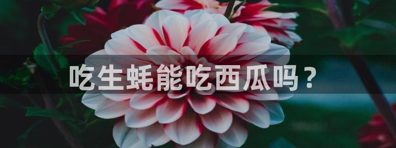 51吃瓜全网最快的吃瓜网站：吃生蚝能吃西瓜吗？