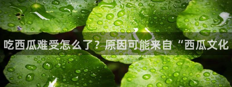 八月瓜尽量少吃的原因：吃西瓜难受怎么了？原因可能来自“西瓜文化