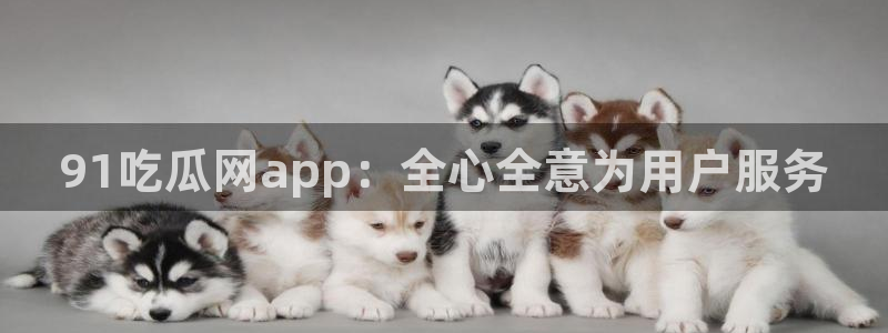黑料 爆料：91吃瓜网app：全心全意为用户服务