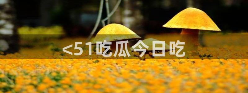 吃瓜网998.su永久有效：<51吃瓜今日吃